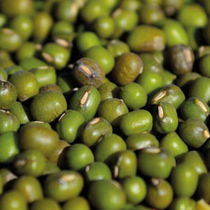 POROTO MUNG 1kg